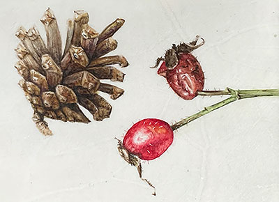 Nature’s Treasures: Pine Cone and Rose Hips on Vellum